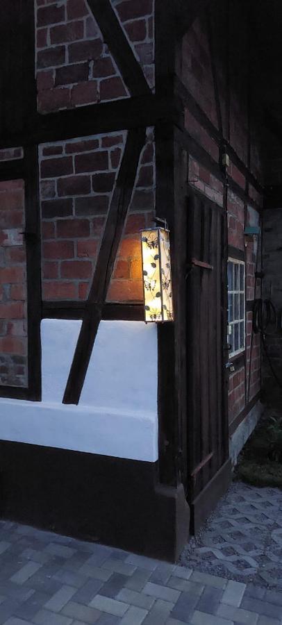 Ferienhaus Blaue Blume Mit 11 Kw Ladestation, Kamin, Terrasse, Eingezaeuntem Garten, Sauna, Wlan, Netflix, 2 Hunde Willkommen! Güntersberge Екстериор снимка