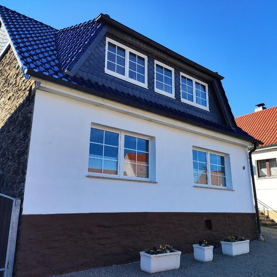 Ferienhaus Blaue Blume Mit 11 Kw Ladestation, Kamin, Terrasse, Eingezaeuntem Garten, Sauna, Wlan, Netflix, 2 Hunde Willkommen! Güntersberge Екстериор снимка