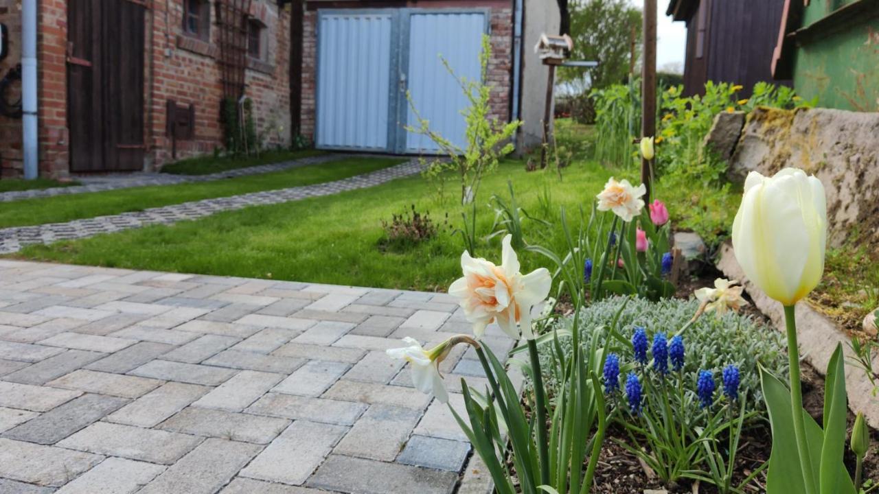 Ferienhaus Blaue Blume Mit 11 Kw Ladestation, Kamin, Terrasse, Eingezaeuntem Garten, Sauna, Wlan, Netflix, 2 Hunde Willkommen! Güntersberge Екстериор снимка