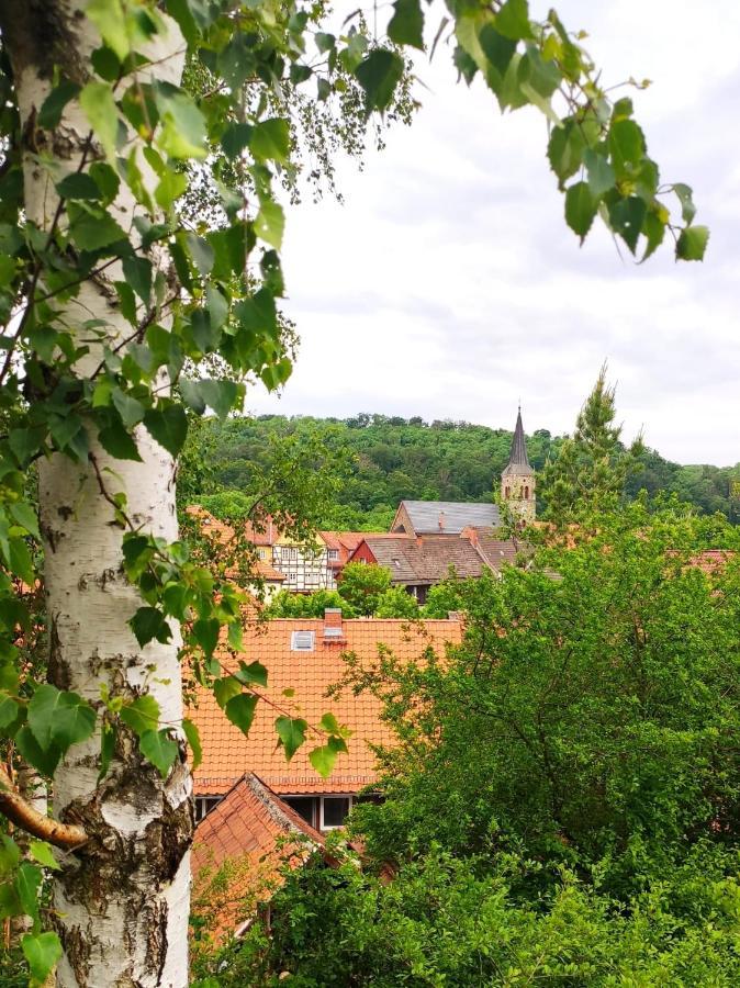 Ferienhaus Blaue Blume Mit 11 Kw Ladestation, Kamin, Terrasse, Eingezaeuntem Garten, Sauna, Wlan, Netflix, 2 Hunde Willkommen! Güntersberge Екстериор снимка