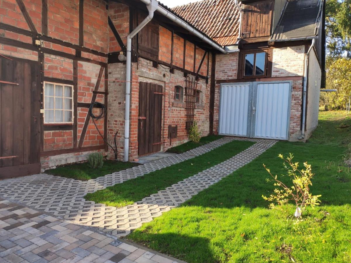 Ferienhaus Blaue Blume Mit 11 Kw Ladestation, Kamin, Terrasse, Eingezaeuntem Garten, Sauna, Wlan, Netflix, 2 Hunde Willkommen! Güntersberge Екстериор снимка