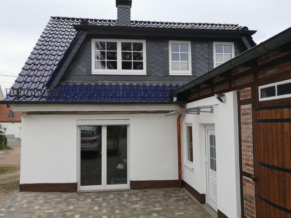 Ferienhaus Blaue Blume Mit 11 Kw Ladestation, Kamin, Terrasse, Eingezaeuntem Garten, Sauna, Wlan, Netflix, 2 Hunde Willkommen! Güntersberge Екстериор снимка