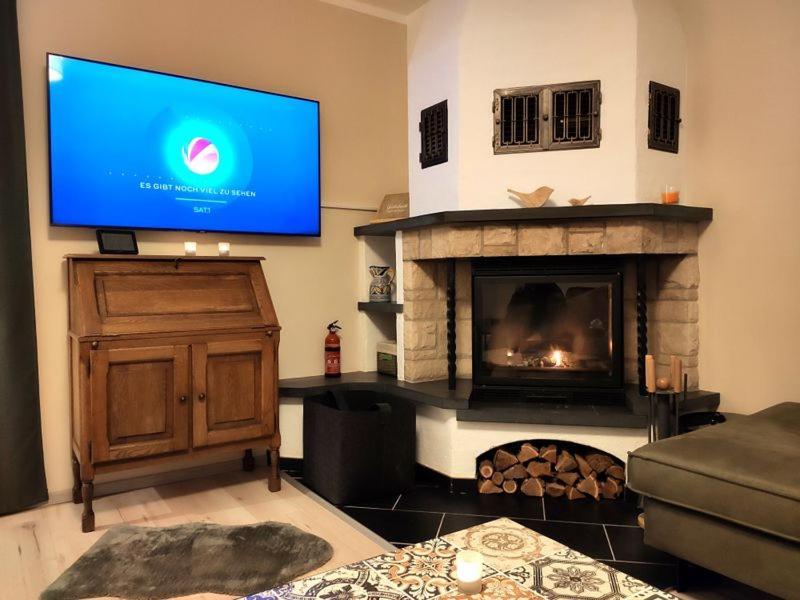 Ferienhaus Blaue Blume Mit 11 Kw Ladestation, Kamin, Terrasse, Eingezaeuntem Garten, Sauna, Wlan, Netflix, 2 Hunde Willkommen! Güntersberge Екстериор снимка