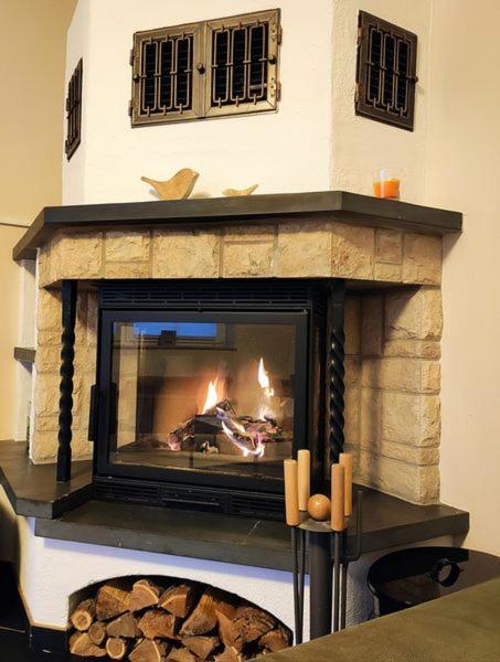 Ferienhaus Blaue Blume Mit 11 Kw Ladestation, Kamin, Terrasse, Eingezaeuntem Garten, Sauna, Wlan, Netflix, 2 Hunde Willkommen! Güntersberge Екстериор снимка