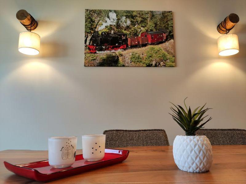Ferienhaus Blaue Blume Mit 11 Kw Ladestation, Kamin, Terrasse, Eingezaeuntem Garten, Sauna, Wlan, Netflix, 2 Hunde Willkommen! Güntersberge Екстериор снимка