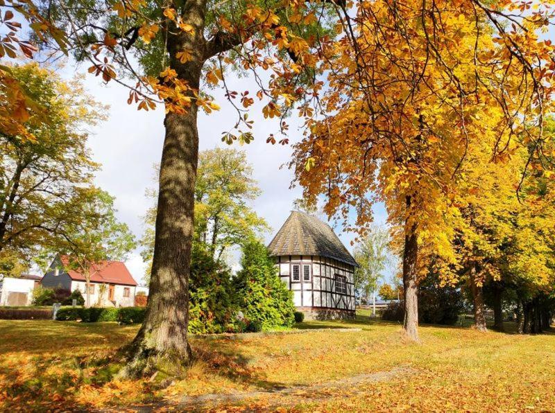 Ferienhaus Blaue Blume Mit 11 Kw Ladestation, Kamin, Terrasse, Eingezaeuntem Garten, Sauna, Wlan, Netflix, 2 Hunde Willkommen! Güntersberge Екстериор снимка